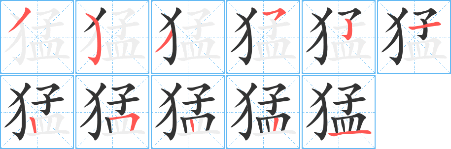 猛字的笔顺分步演示