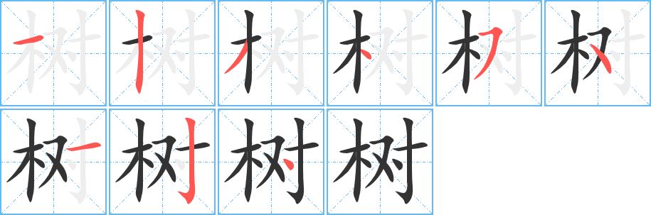 树字的笔顺分步演示