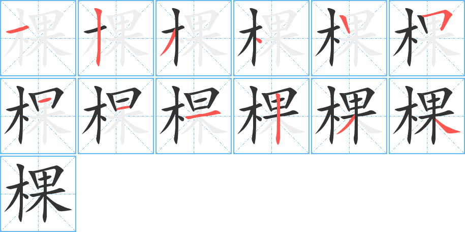 棵字的笔顺分步演示