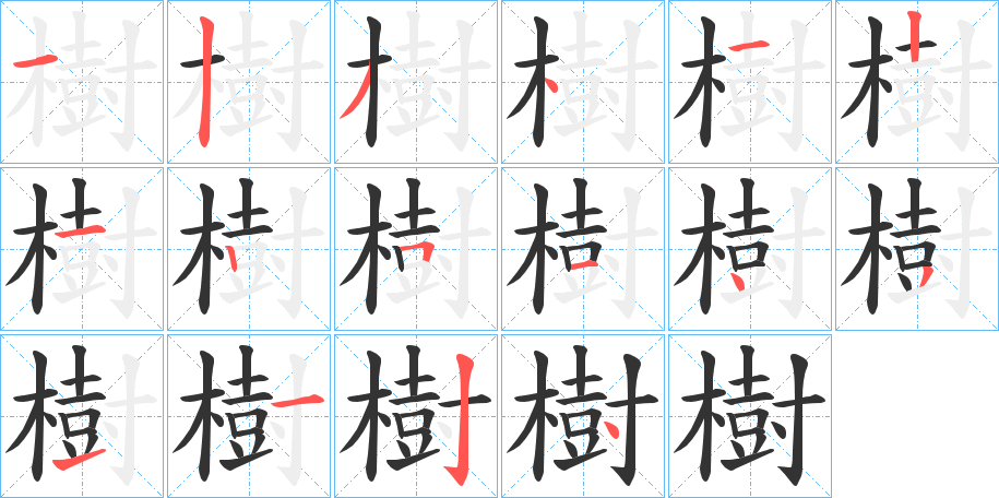 樹字的笔顺分步演示