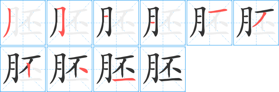 胚字的笔顺分步演示