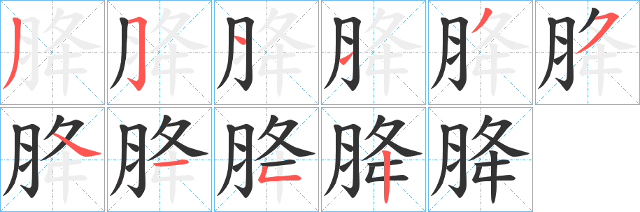 胮字的笔顺分步演示