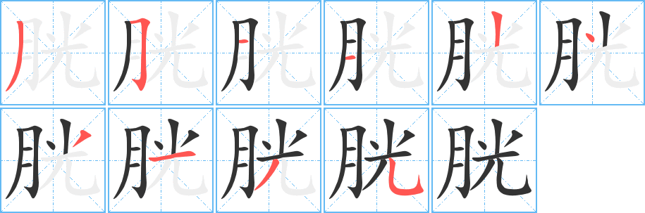 胱字的笔顺分步演示