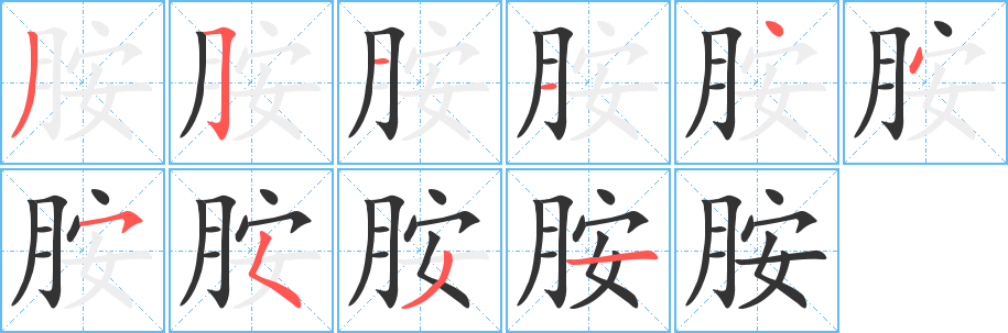 胺字的笔顺分步演示