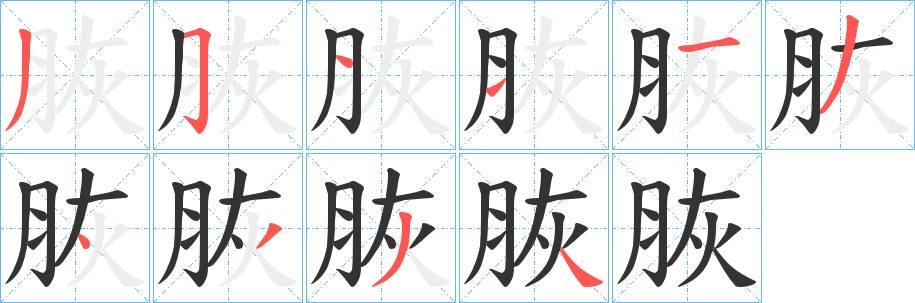 脄字的笔顺分步演示