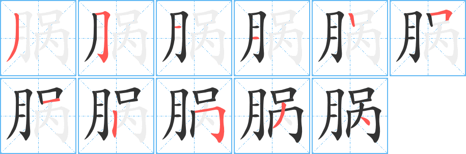 脶字的笔顺分步演示