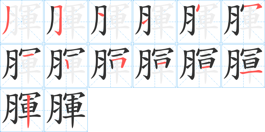 腪字的笔顺分步演示