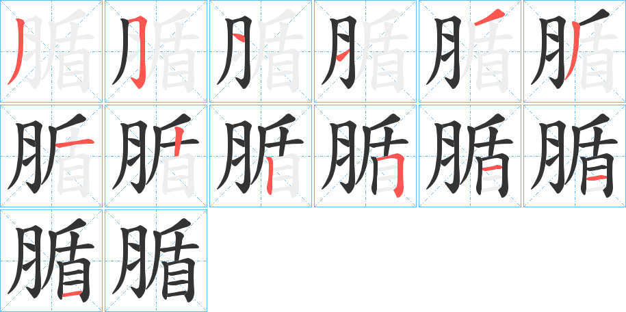 腯字的笔顺分步演示