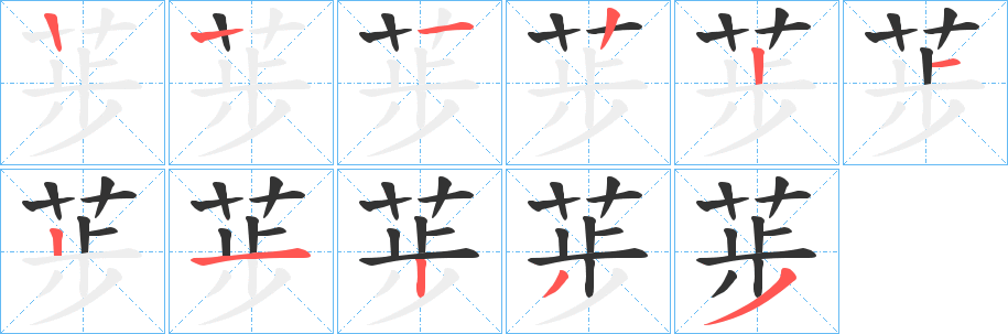 荹字的笔顺分步演示