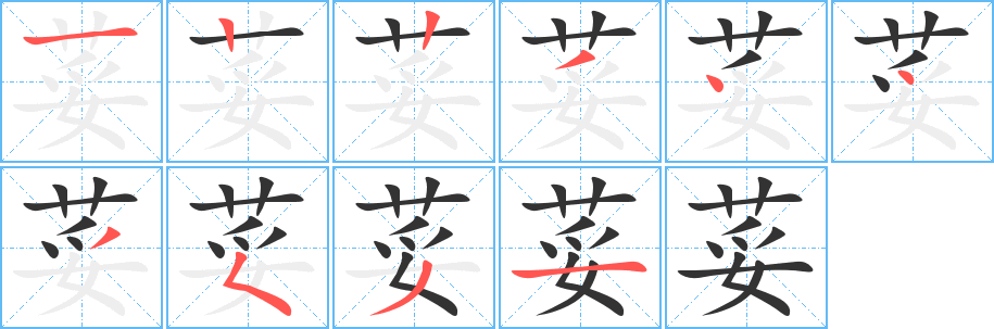 荽字的笔顺分步演示