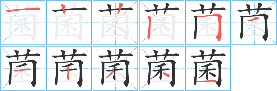 菌字的笔顺分步演示