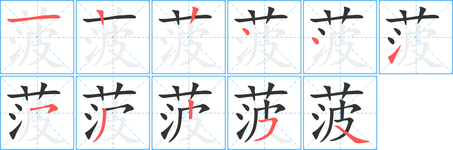 菠字的笔顺分步演示