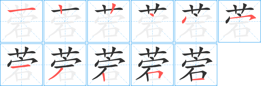 菪字的笔顺分步演示