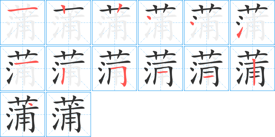 蒲字的笔顺分步演示