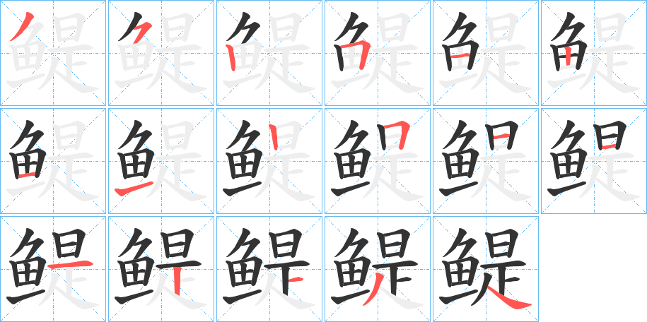 鳀字的笔顺分步演示