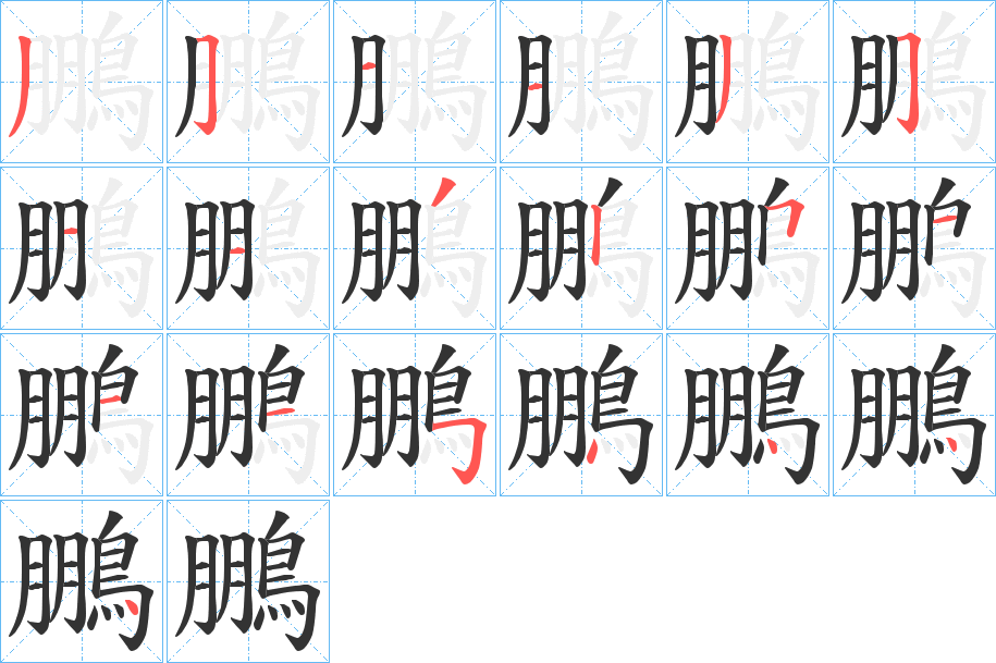 鵬字的笔顺分步演示