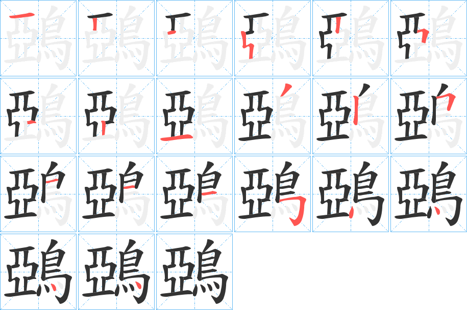 鵶字的笔顺分步演示