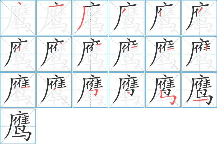 鹰字的笔顺分步演示